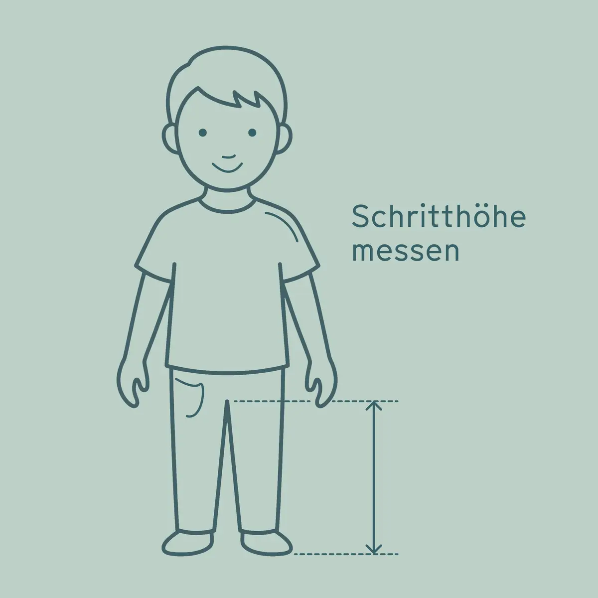 6.2026 StrollMe Blog Image Fahrradgroesse